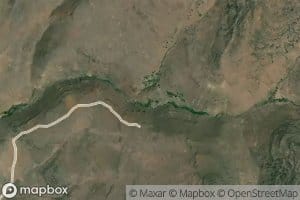Cow Spring