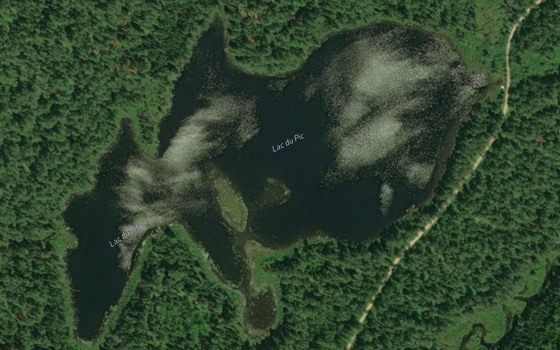 Satellite map of the Lac du Pic