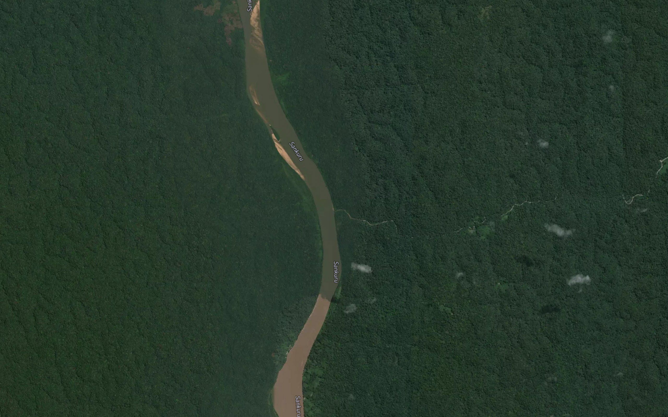 Disulu