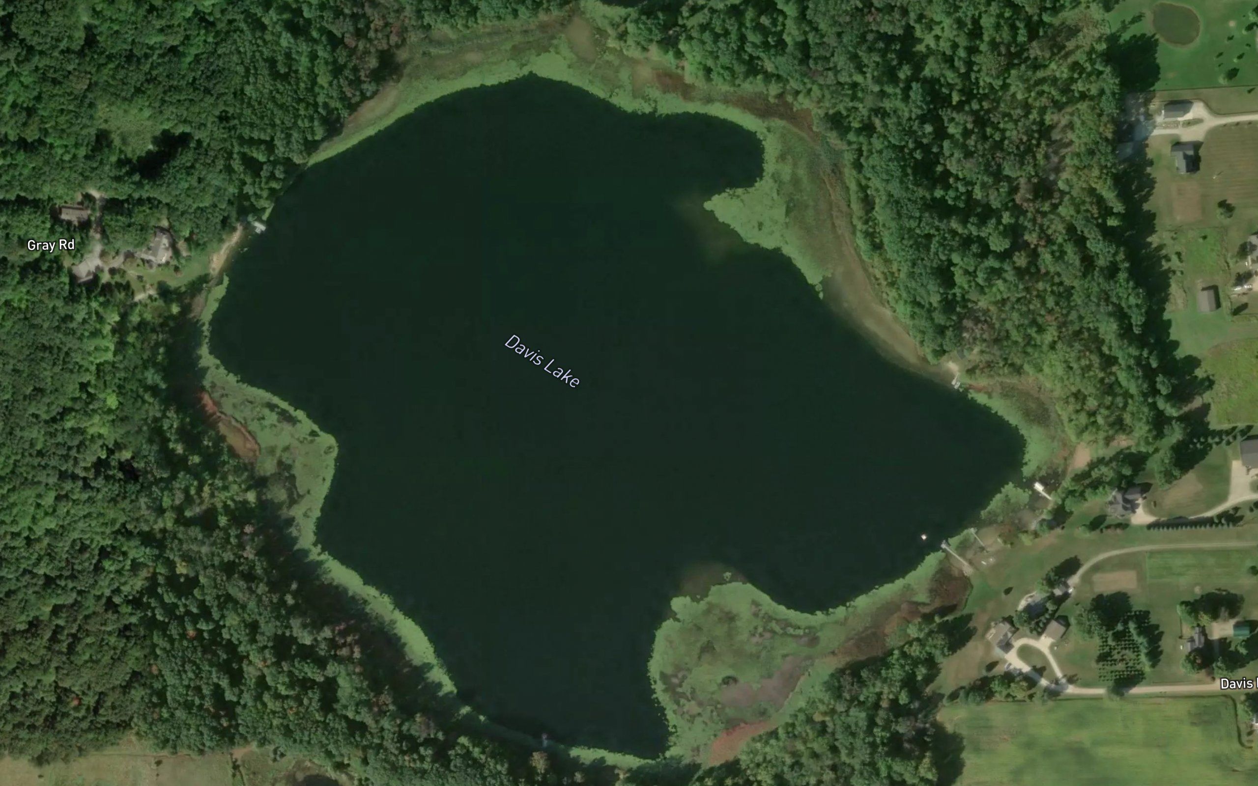 Davis Lake