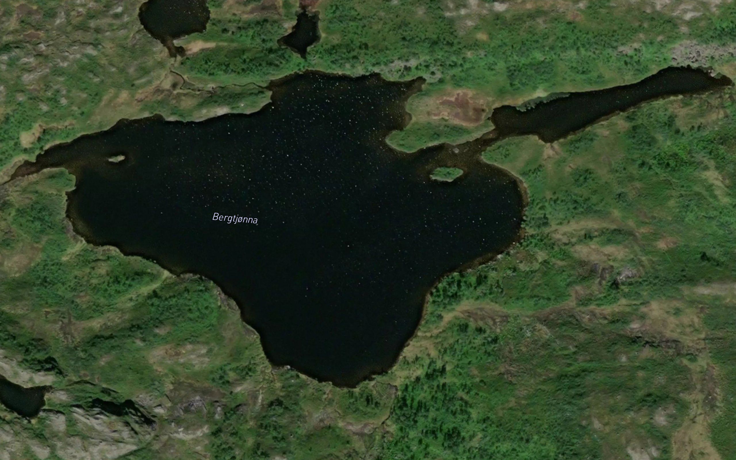 Bergtjorna
