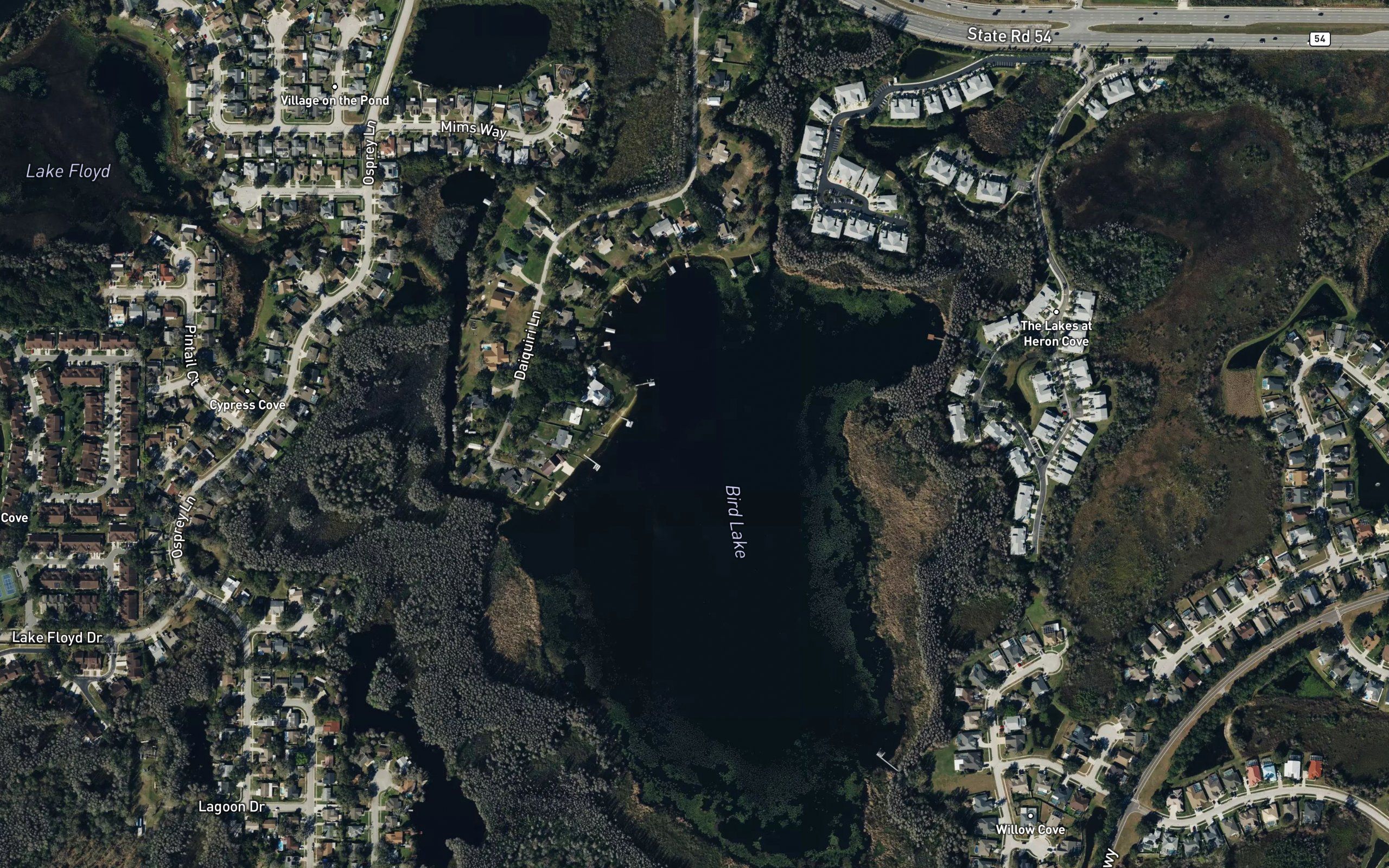 Bird Lake