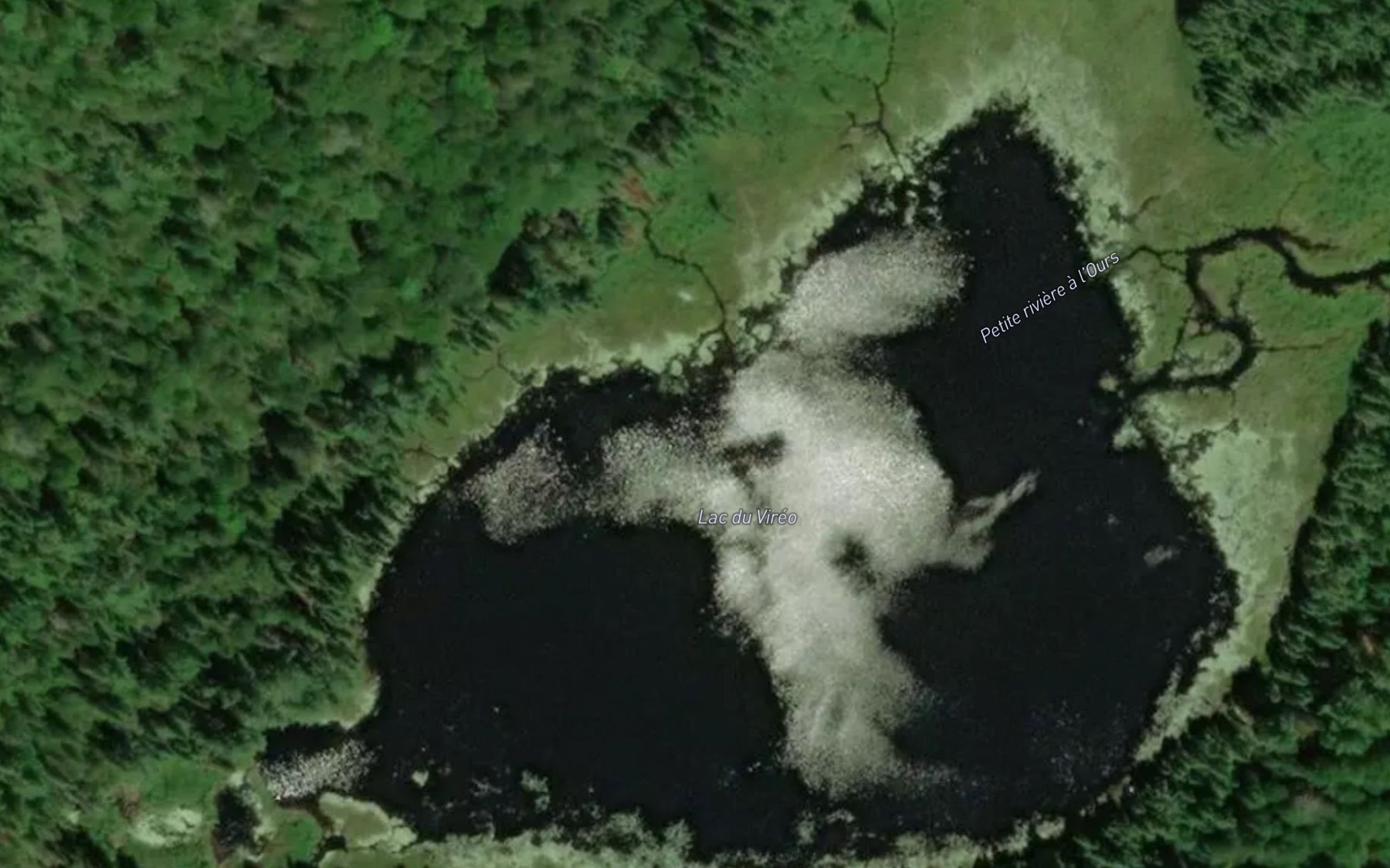Satellite map of the Lac du Vireo