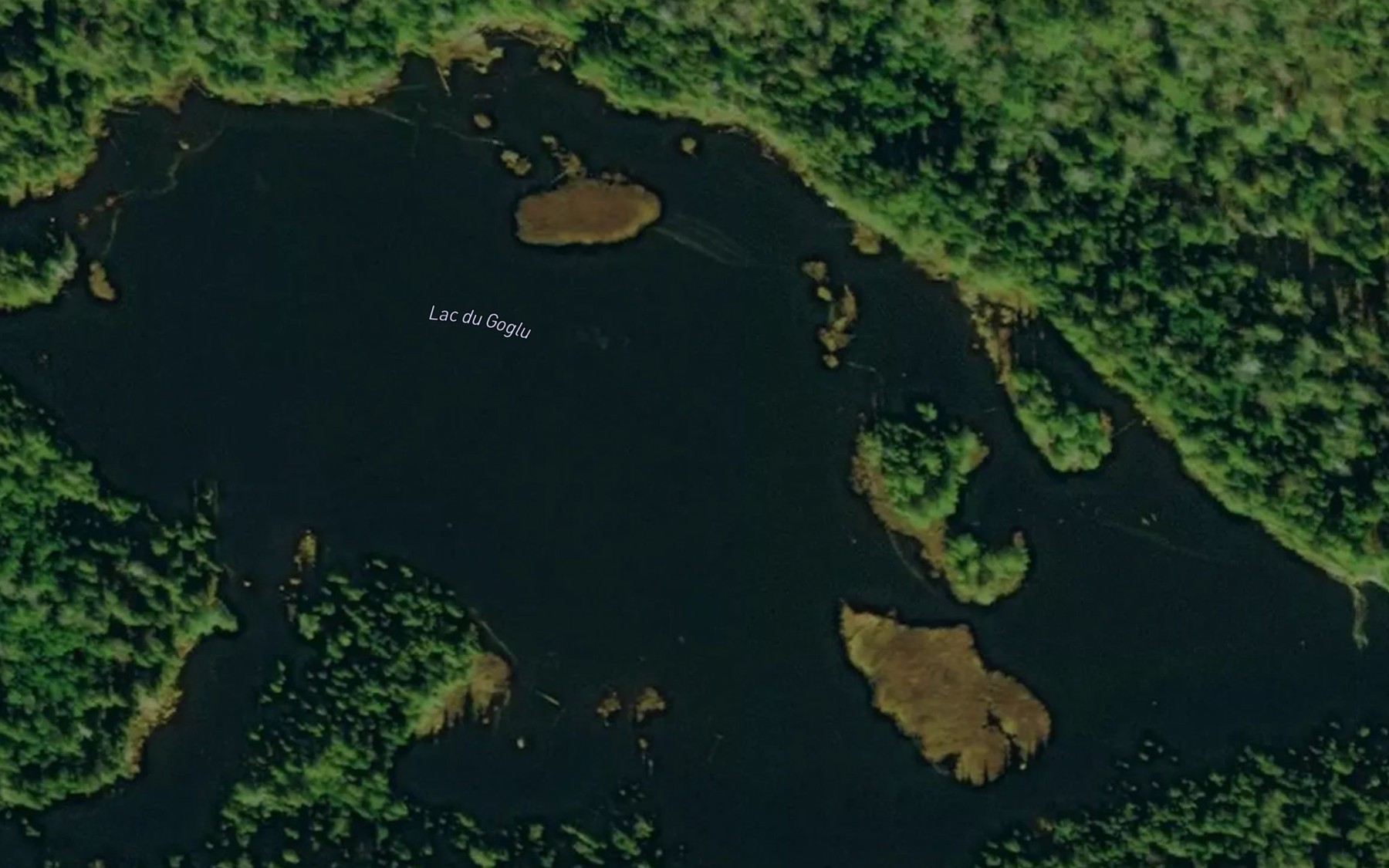 Satellite map of the Lac du Goglu