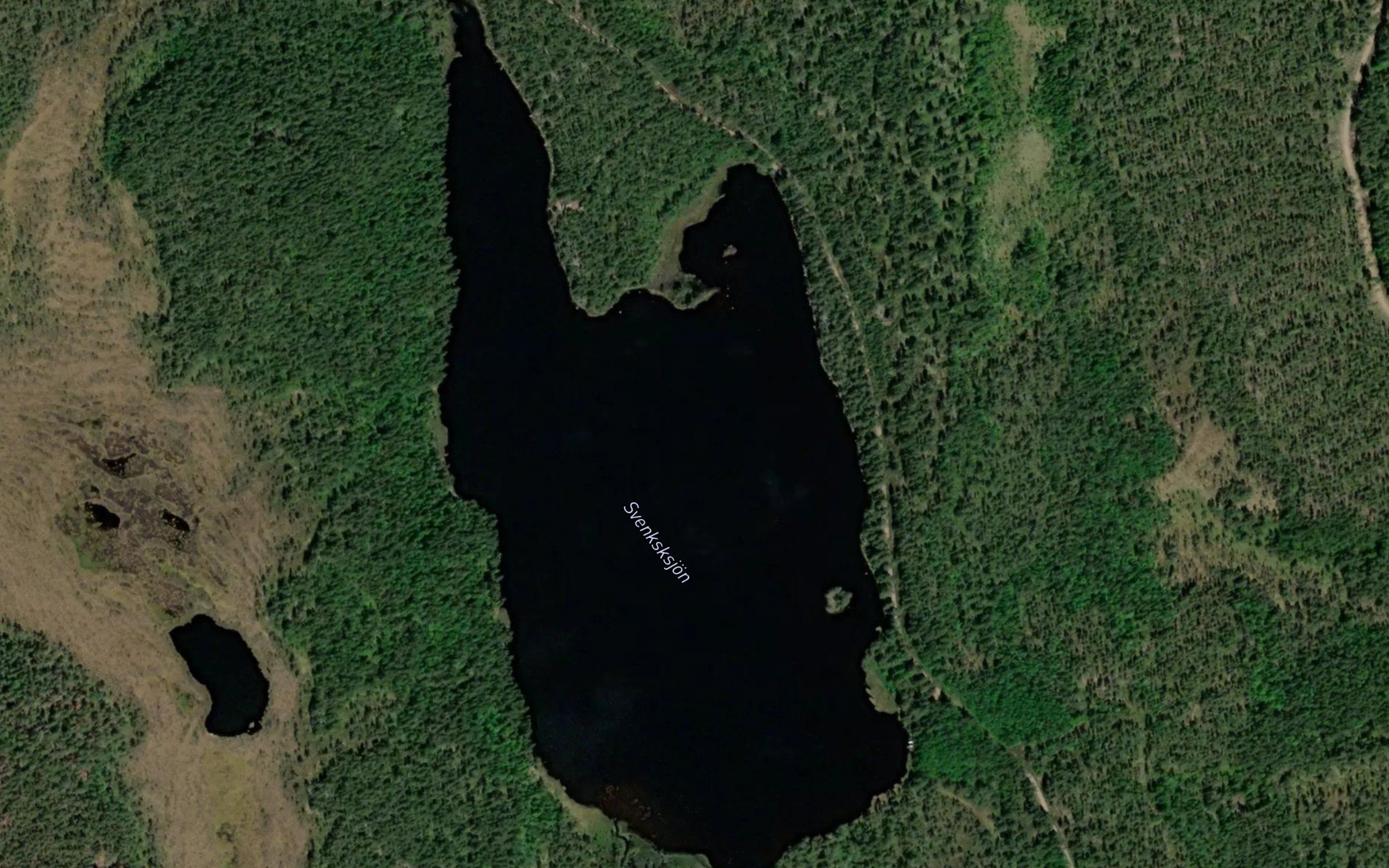 Svensksjoen