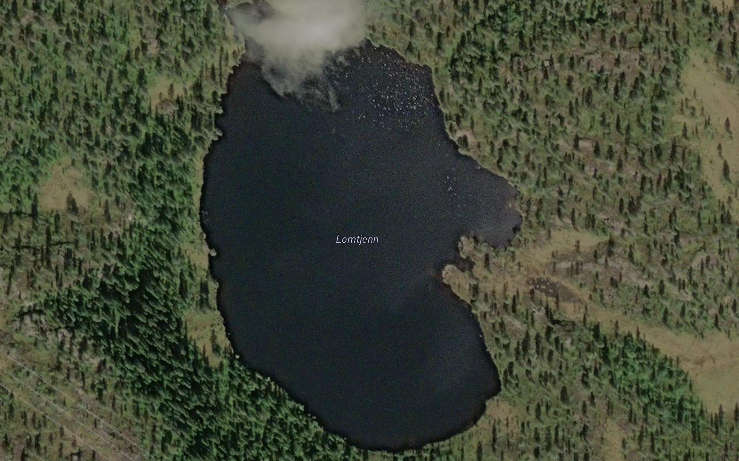 Lomtjorna