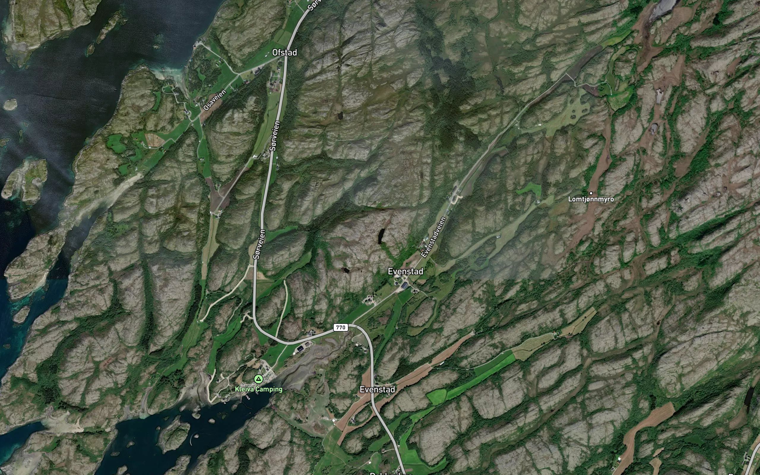 Fjilltjonna