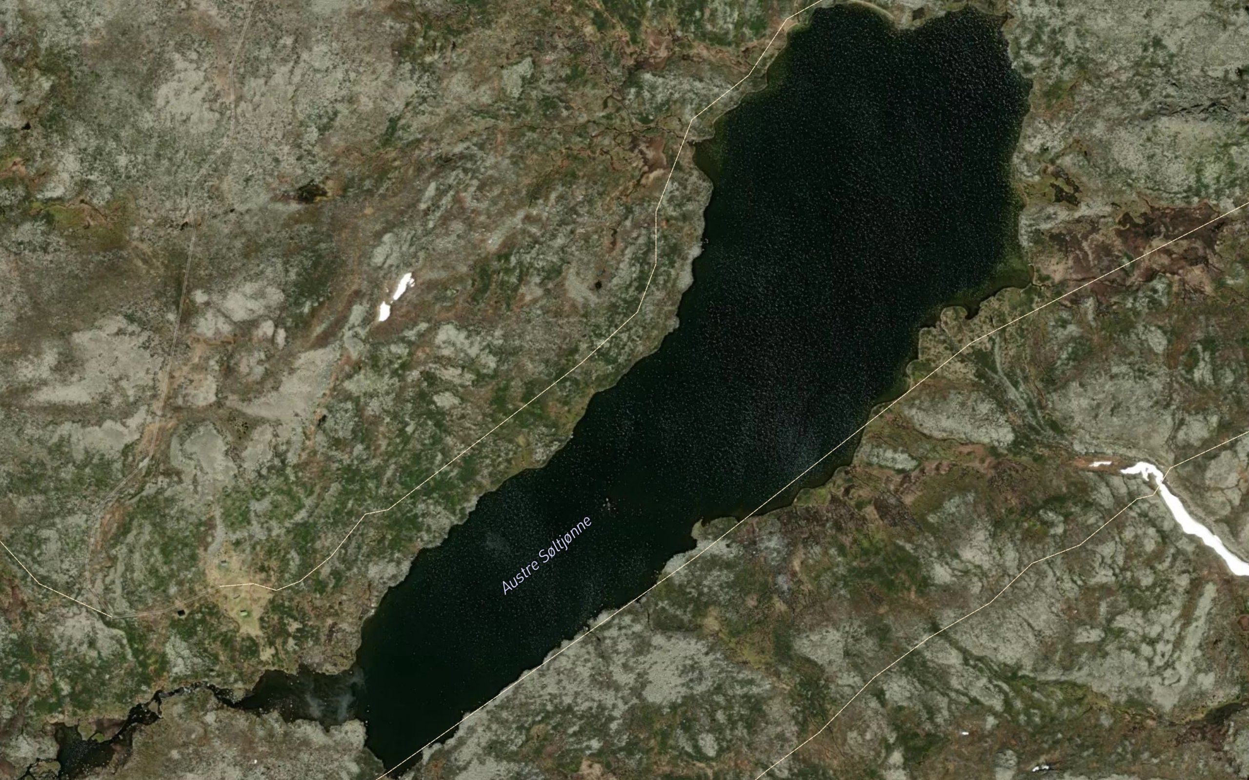 Soltjonne,austre