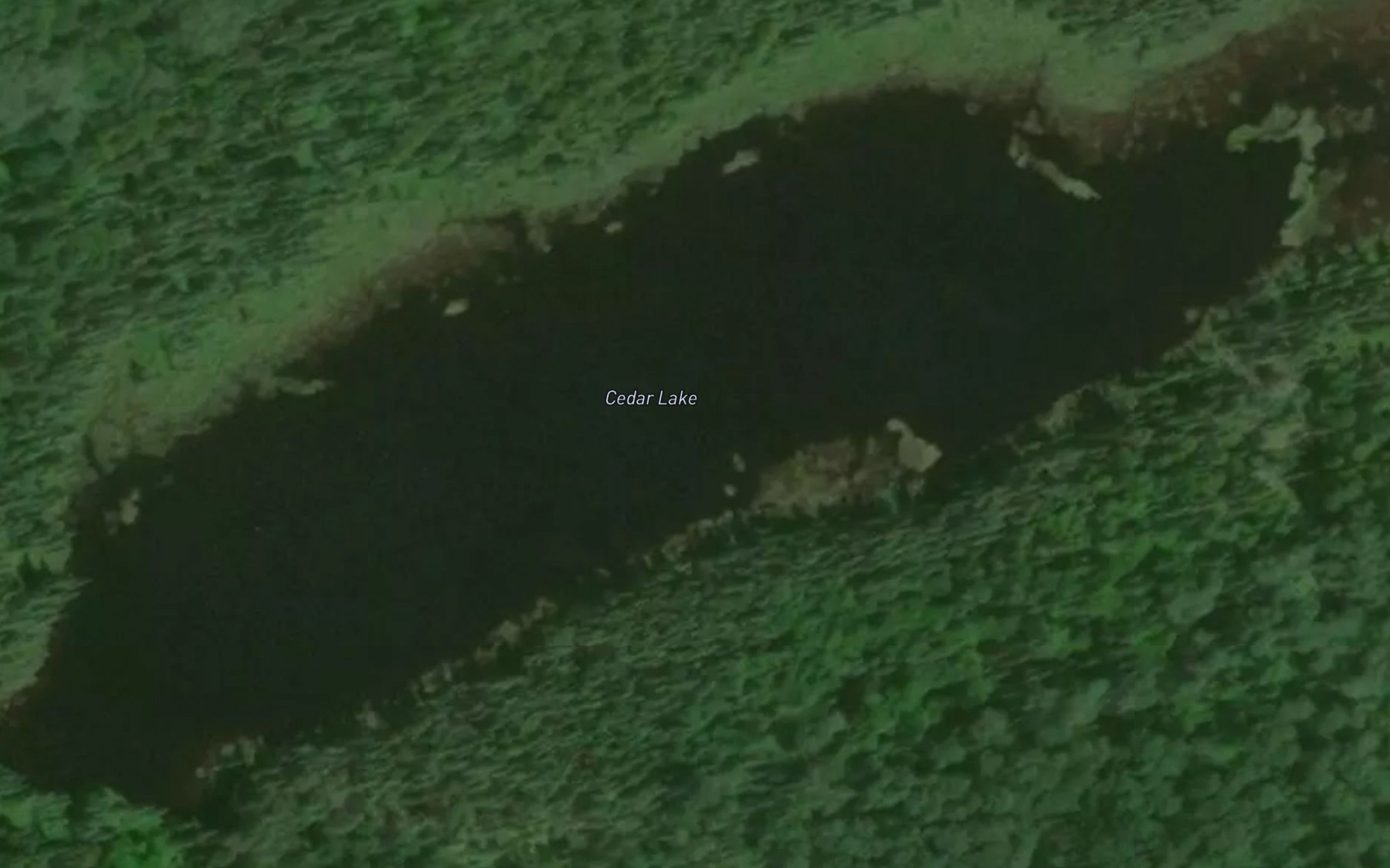 Satellite map of the Cedar Lake