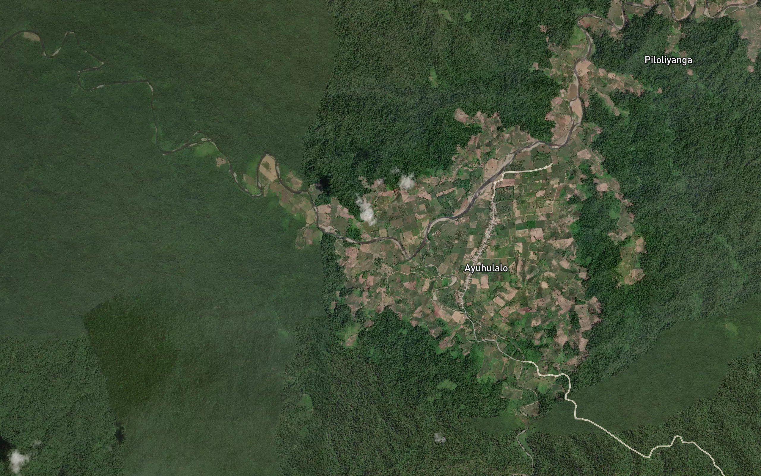 Dutula Bongoayu
