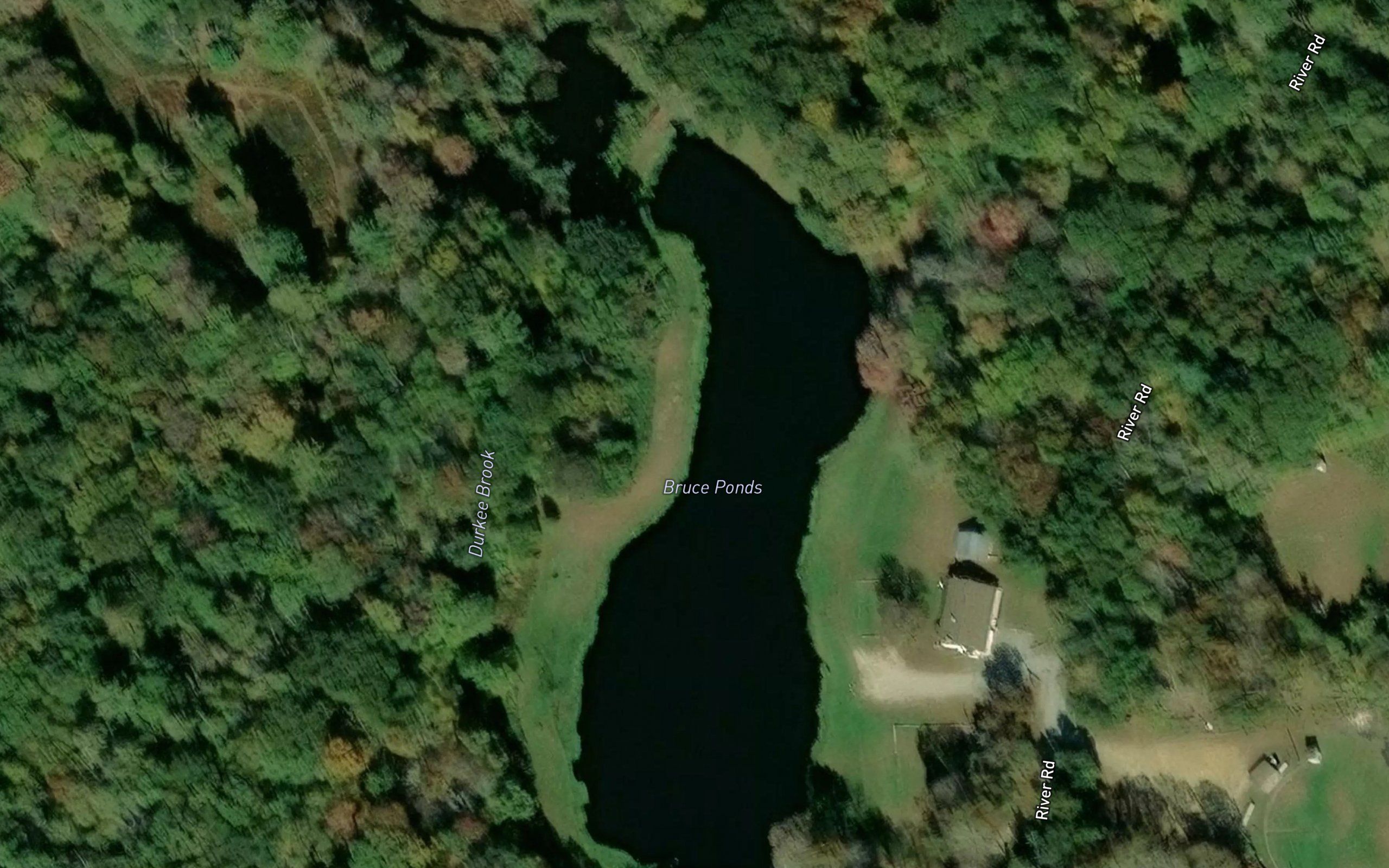 Bruce Ponds