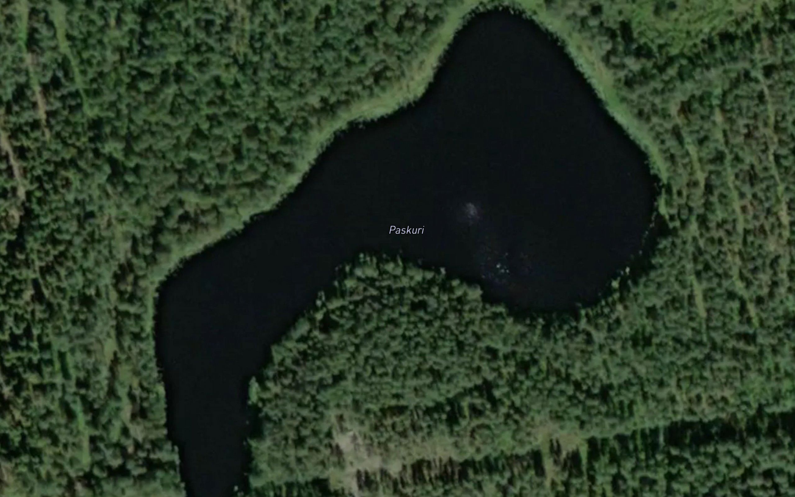 Paskuri
