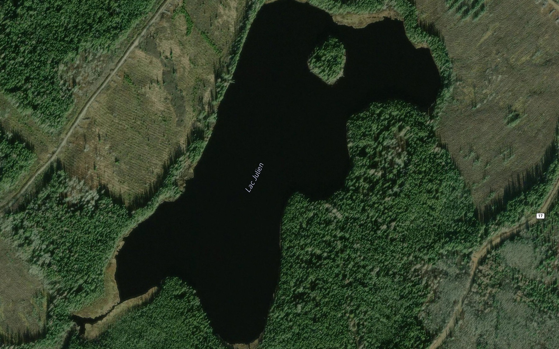 Satellite map of the Lac Julien