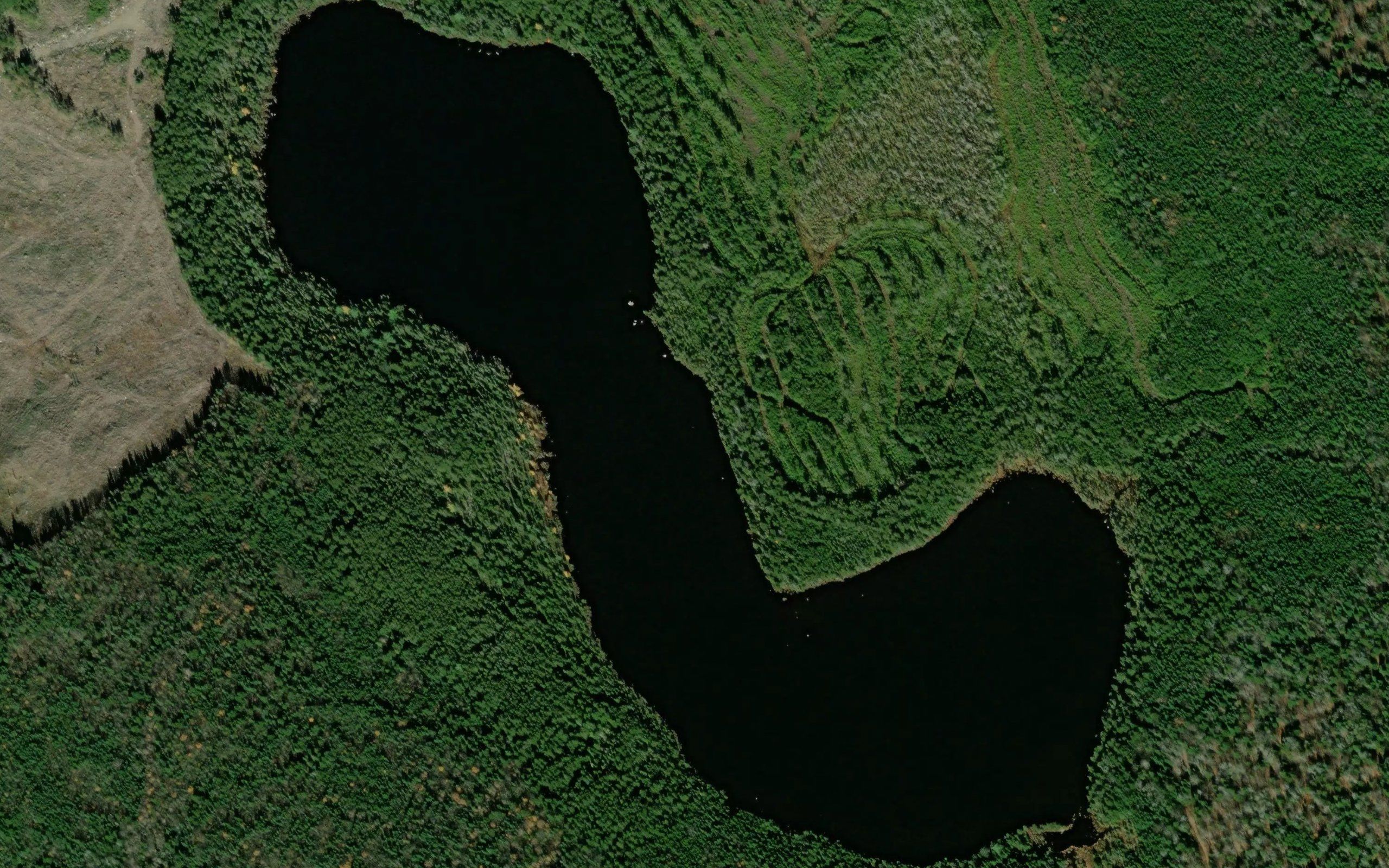Mountain Pond