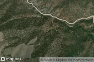 Big Maple Spring