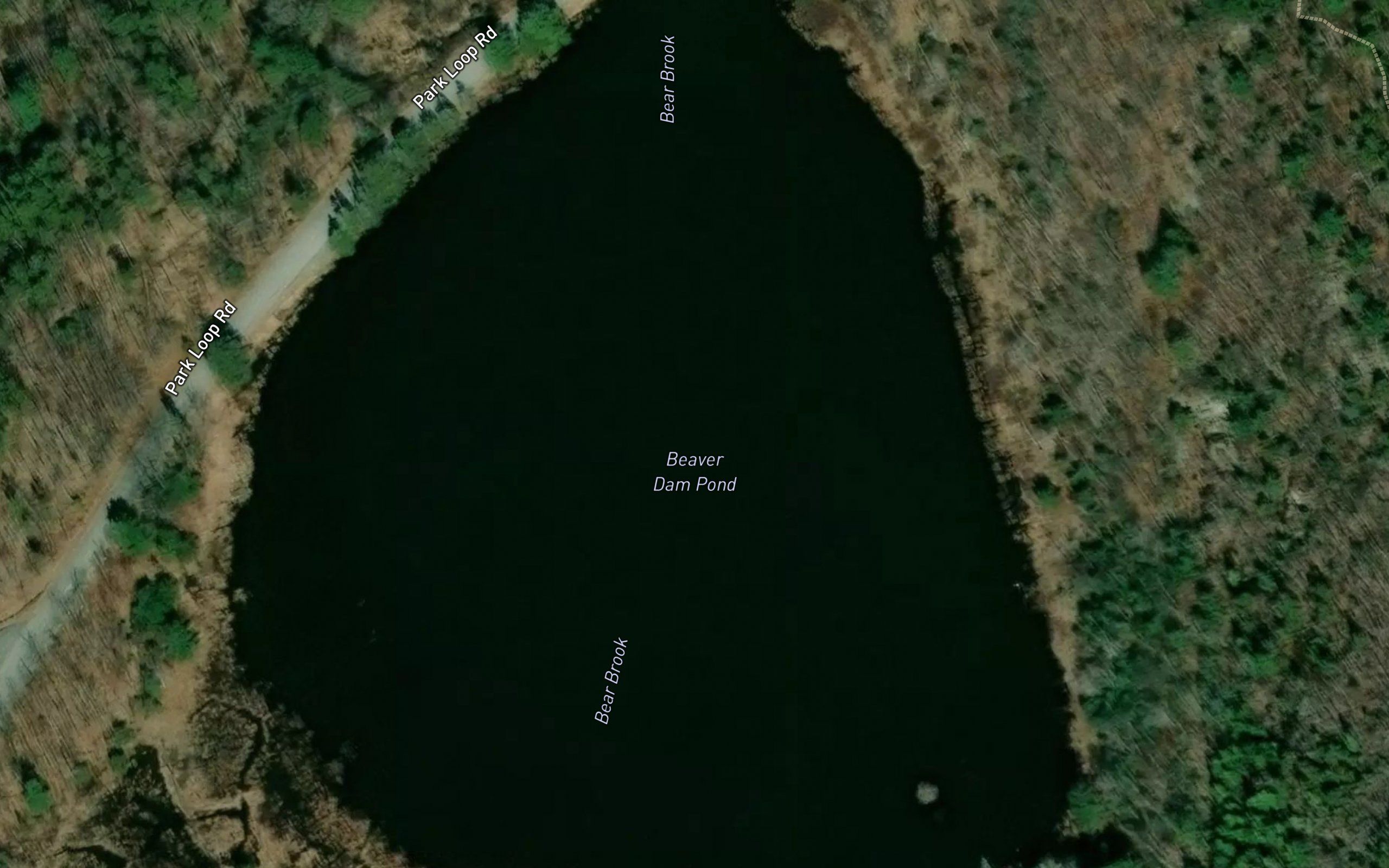 Beaver Dam Pond