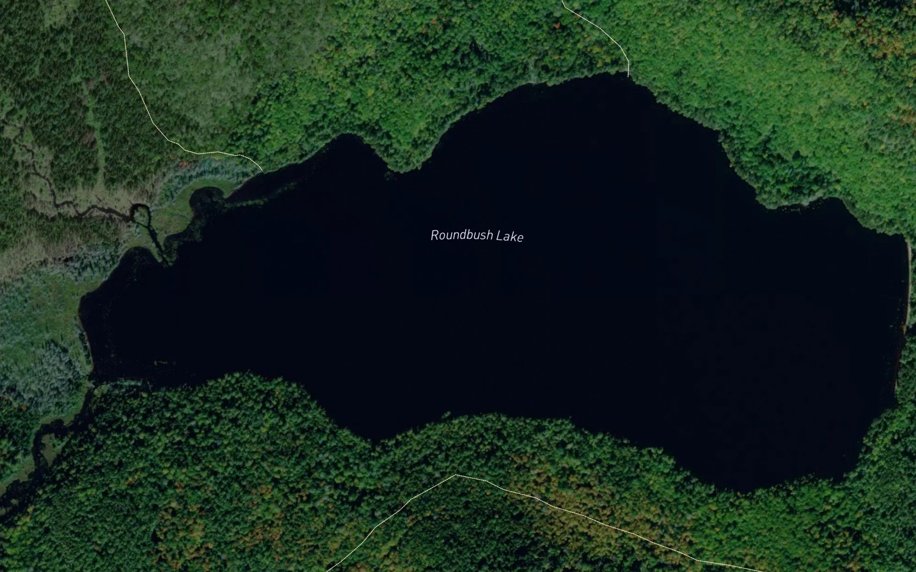 Satellite map of the Roundbush Lake