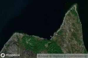Alternesvika