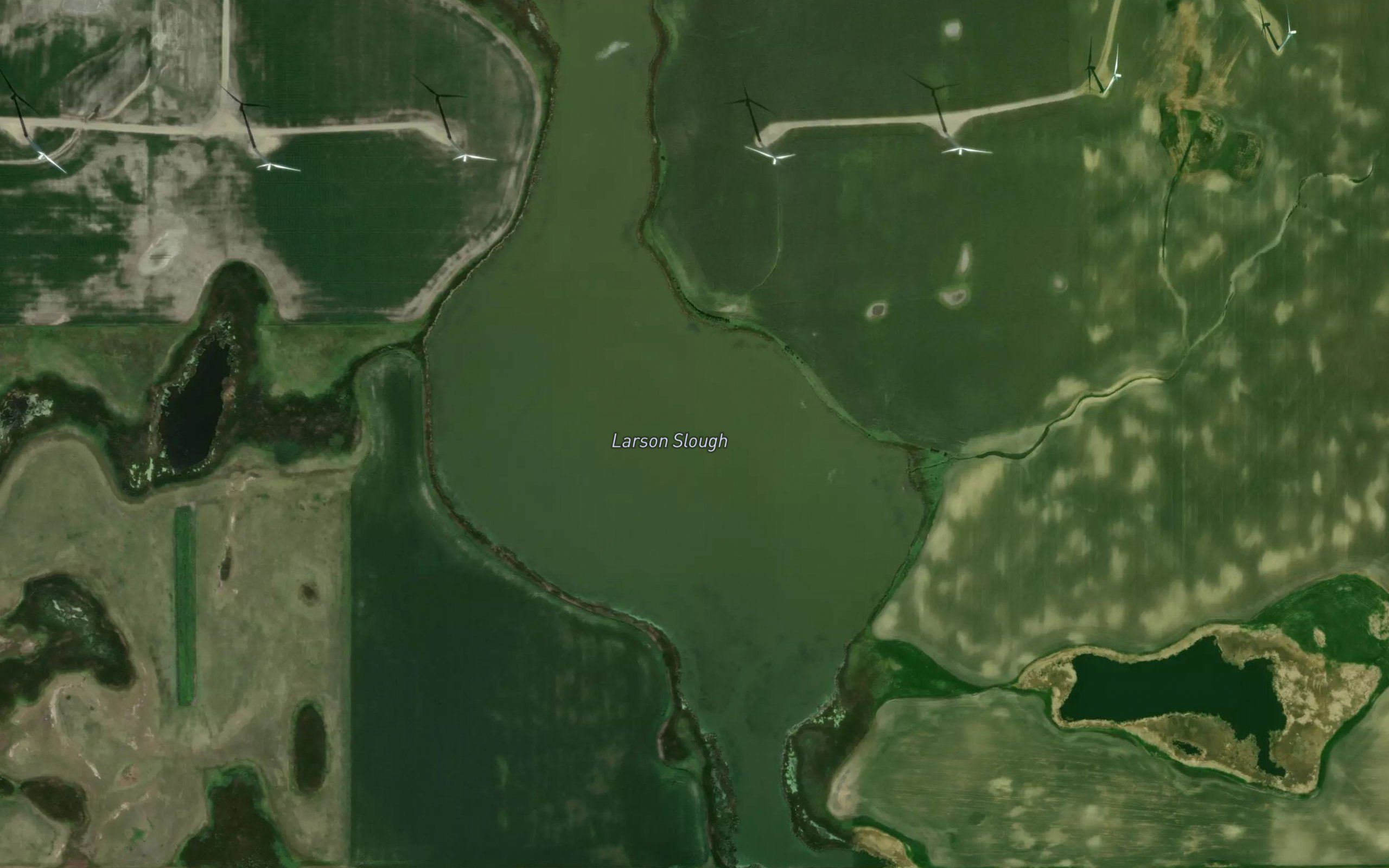 Larson Slough
