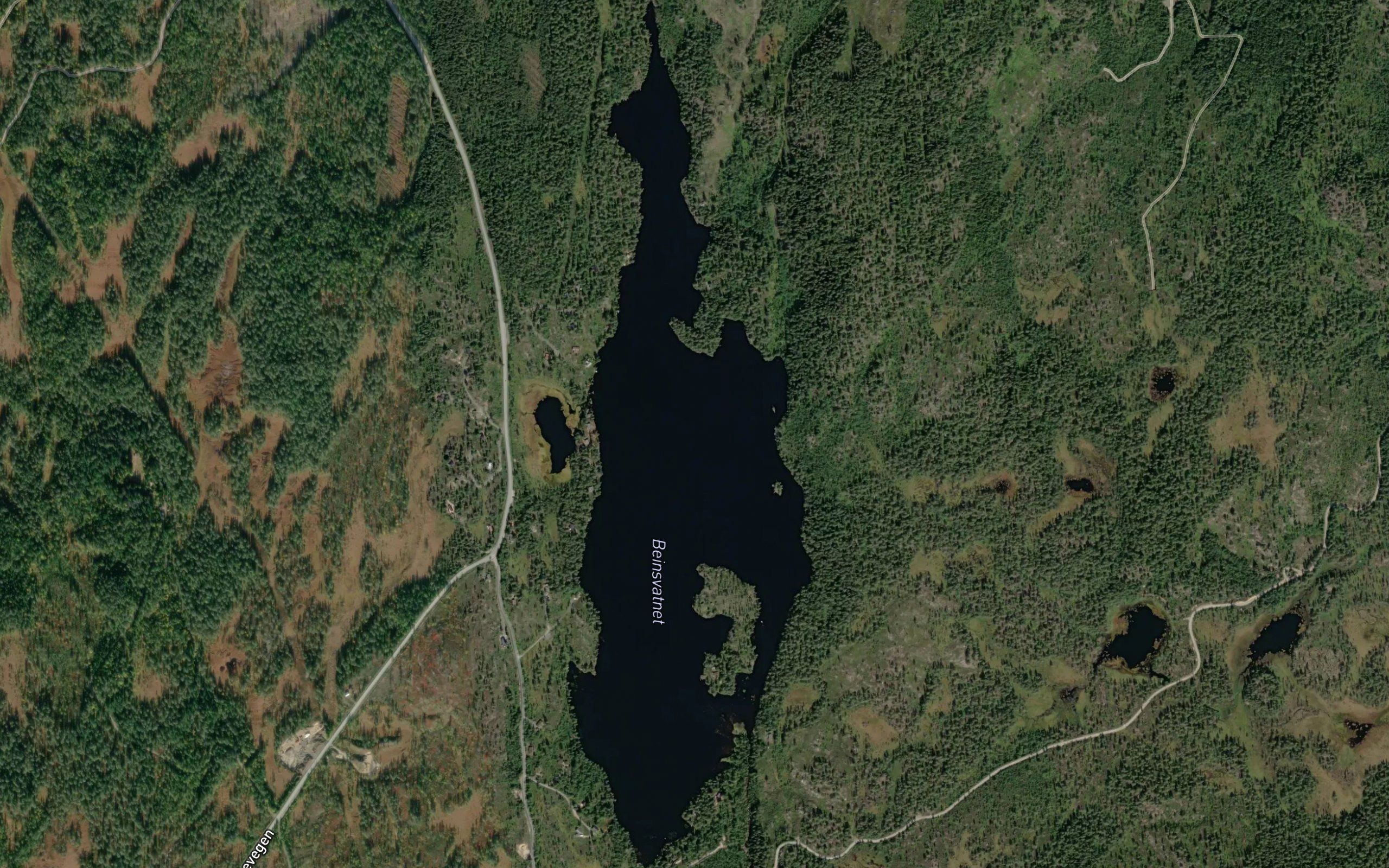 Beinsvatnet