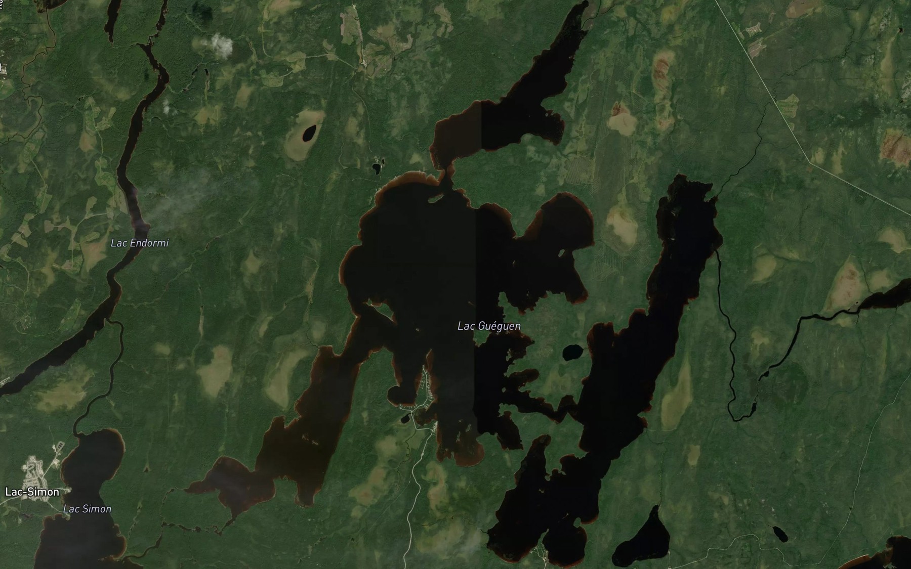 Satellite map of the Lac Gueguen