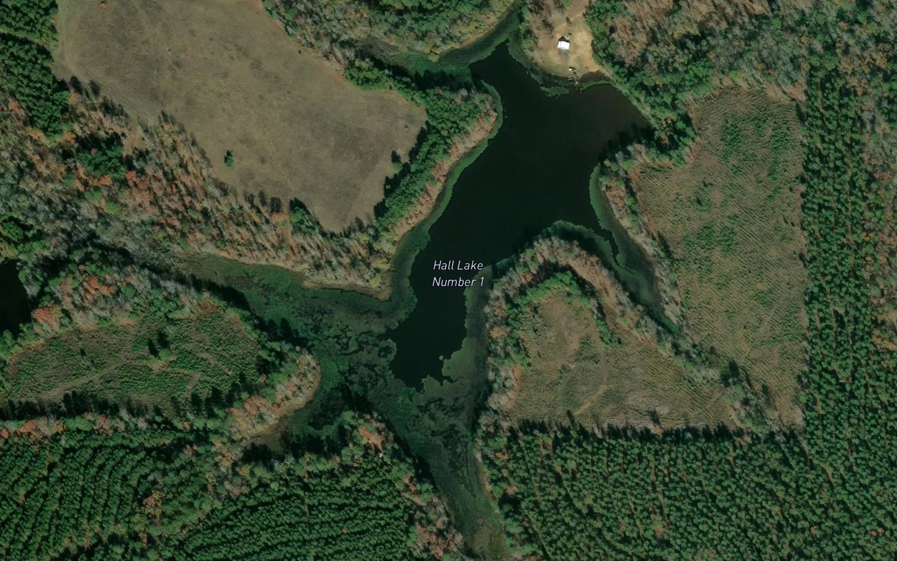 Satellite map of the Hall Lake Number 1