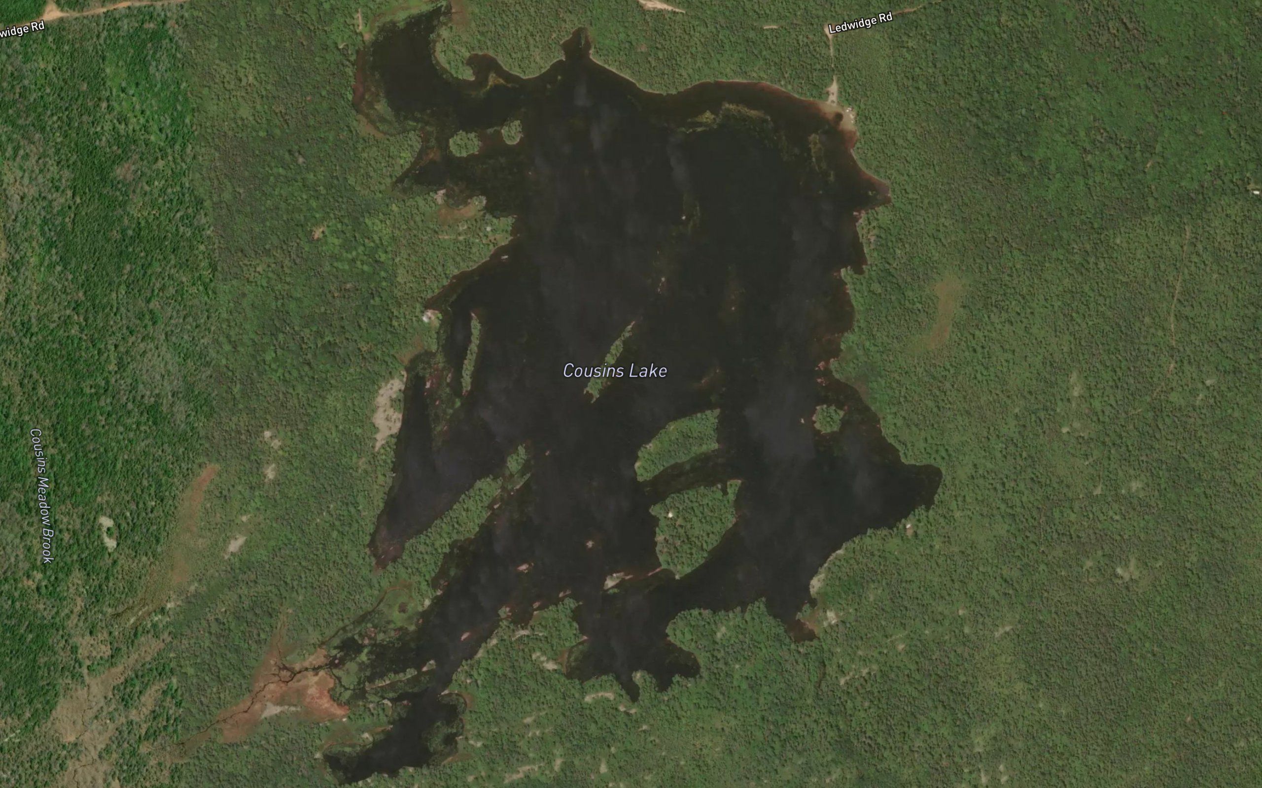 Cousins Lake
