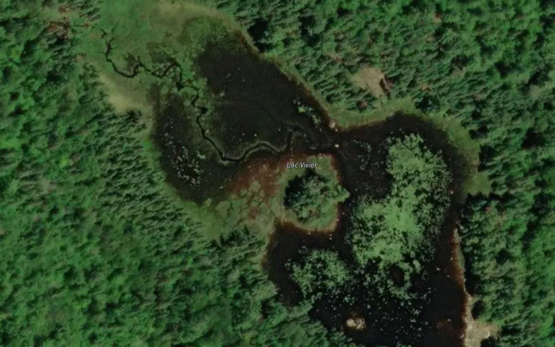 Satellite map of the Lac Vivier