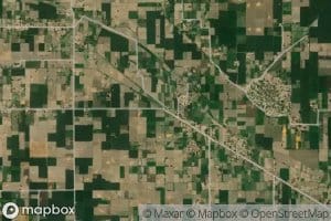 Fattuana Three Right Minor