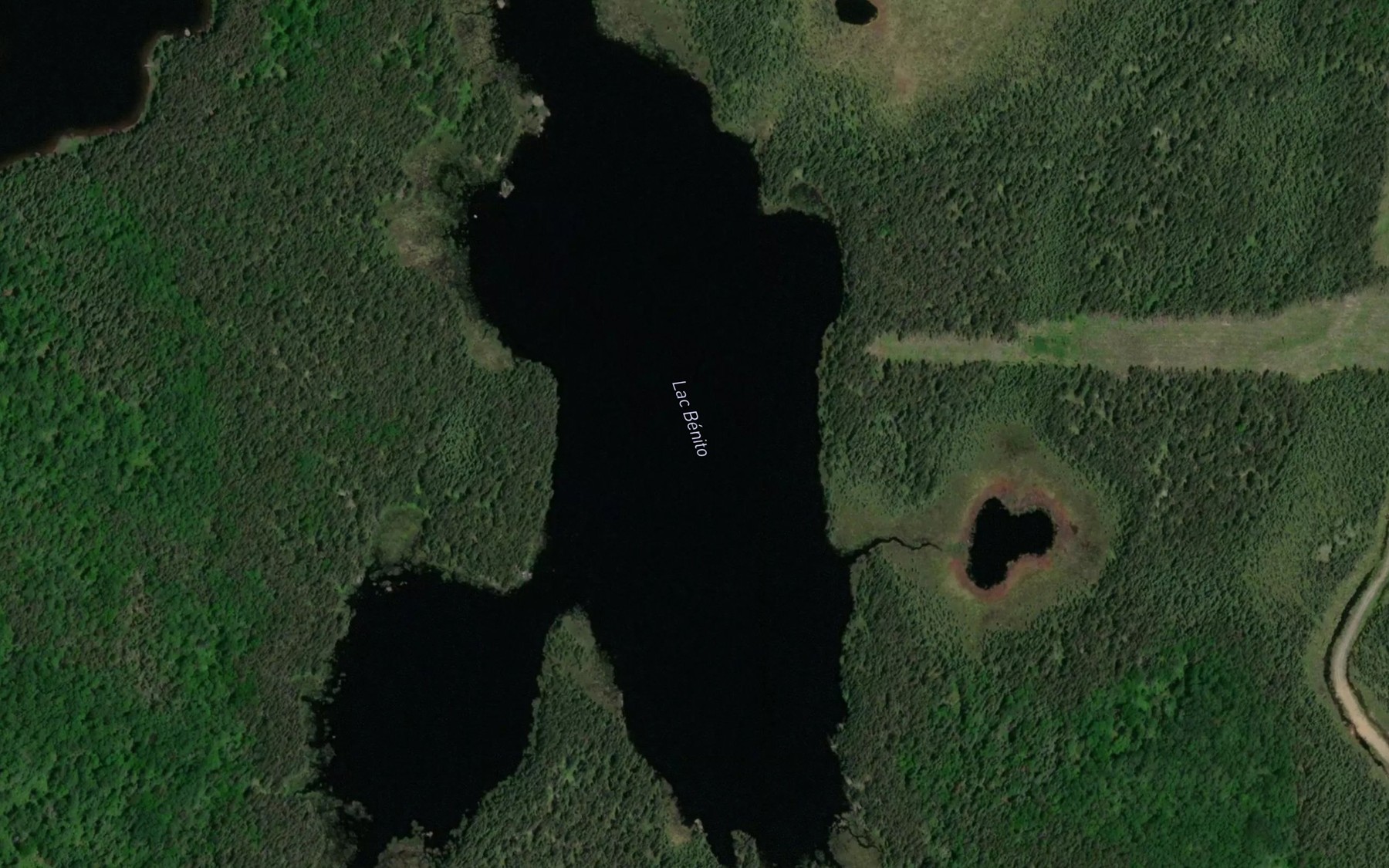 Satellite map of the Lac Benito