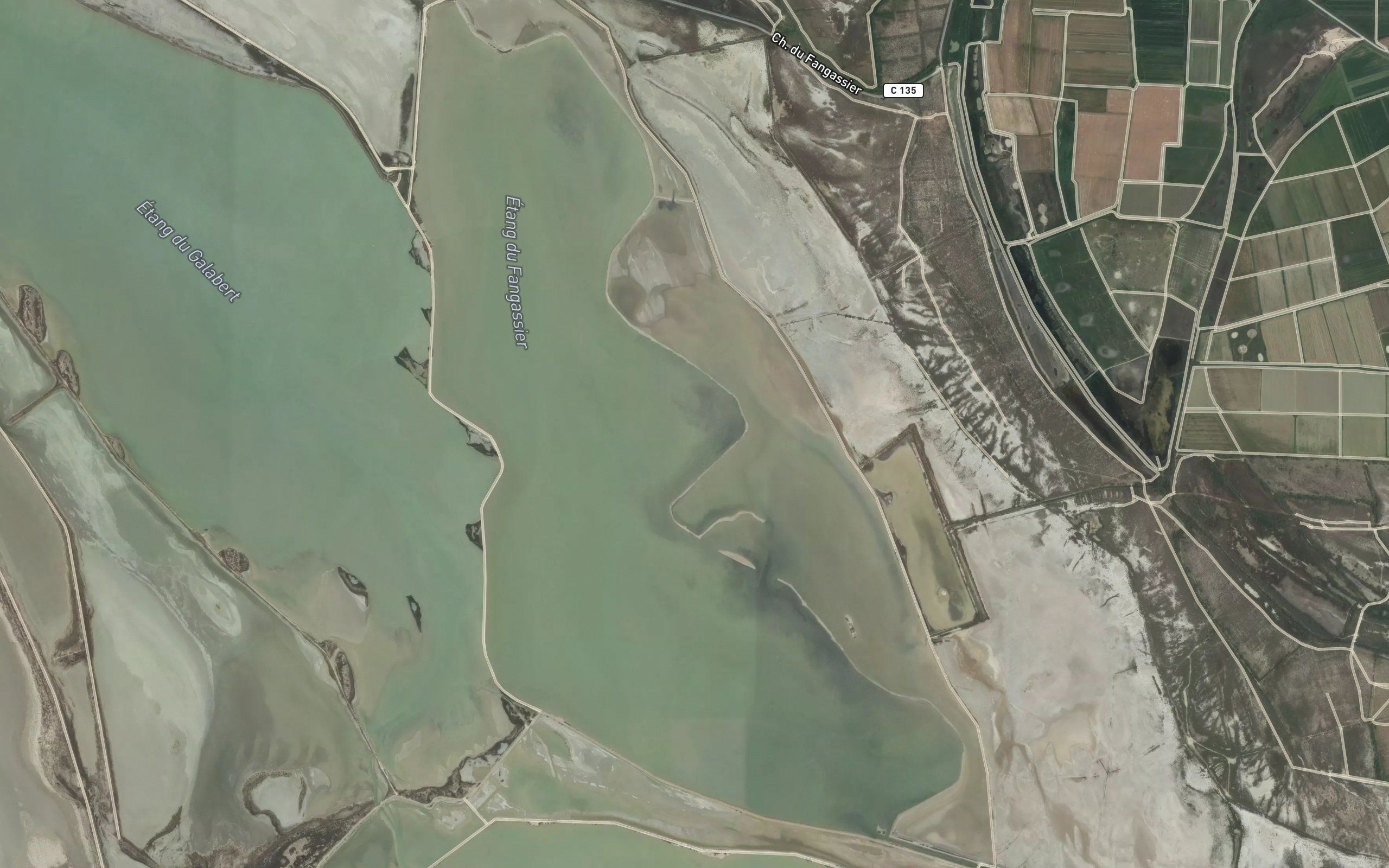 Etang du Fangassier