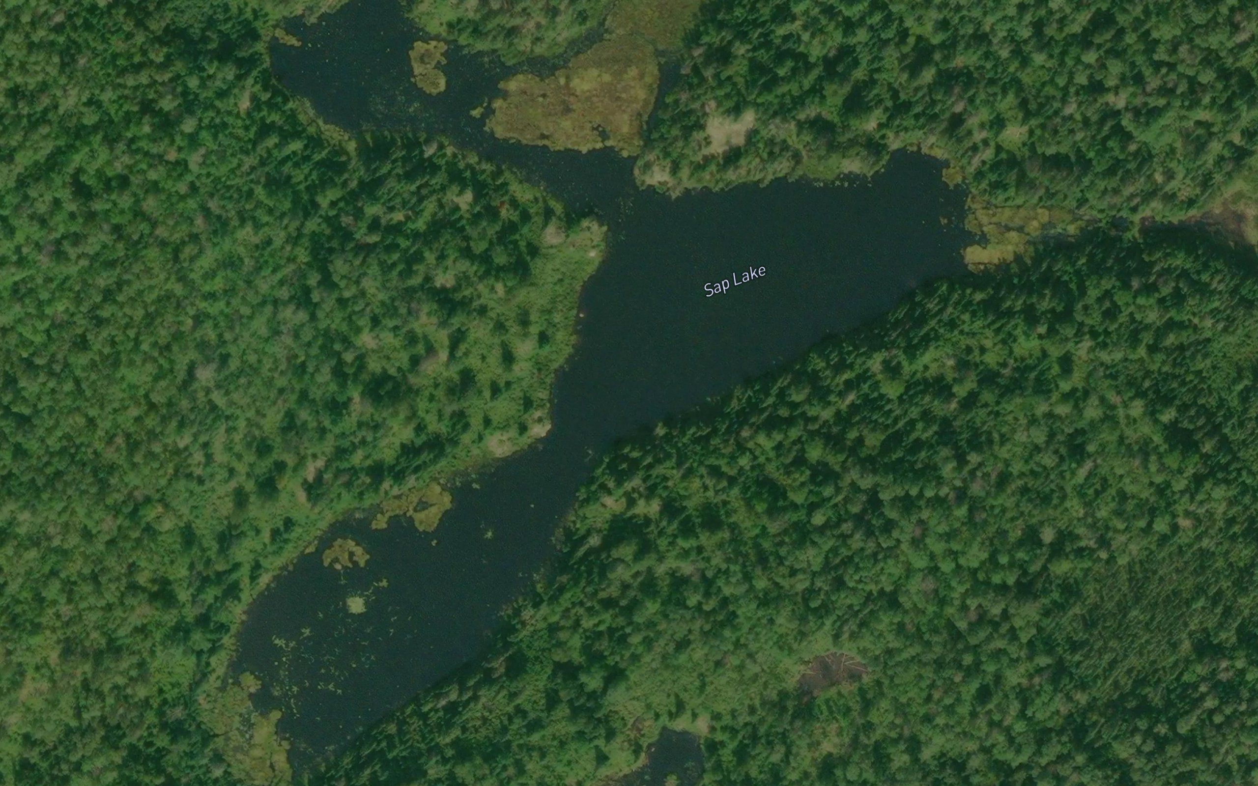 Sap Lake