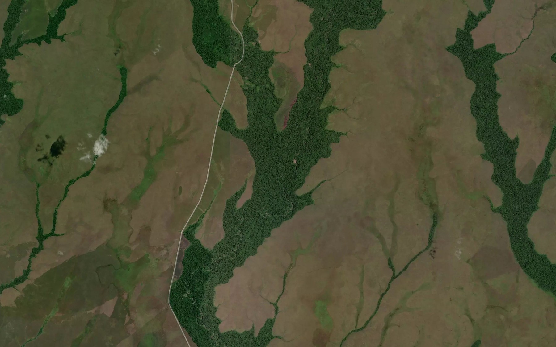 Satellite map of the Pasik River