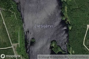 Liesijarvi