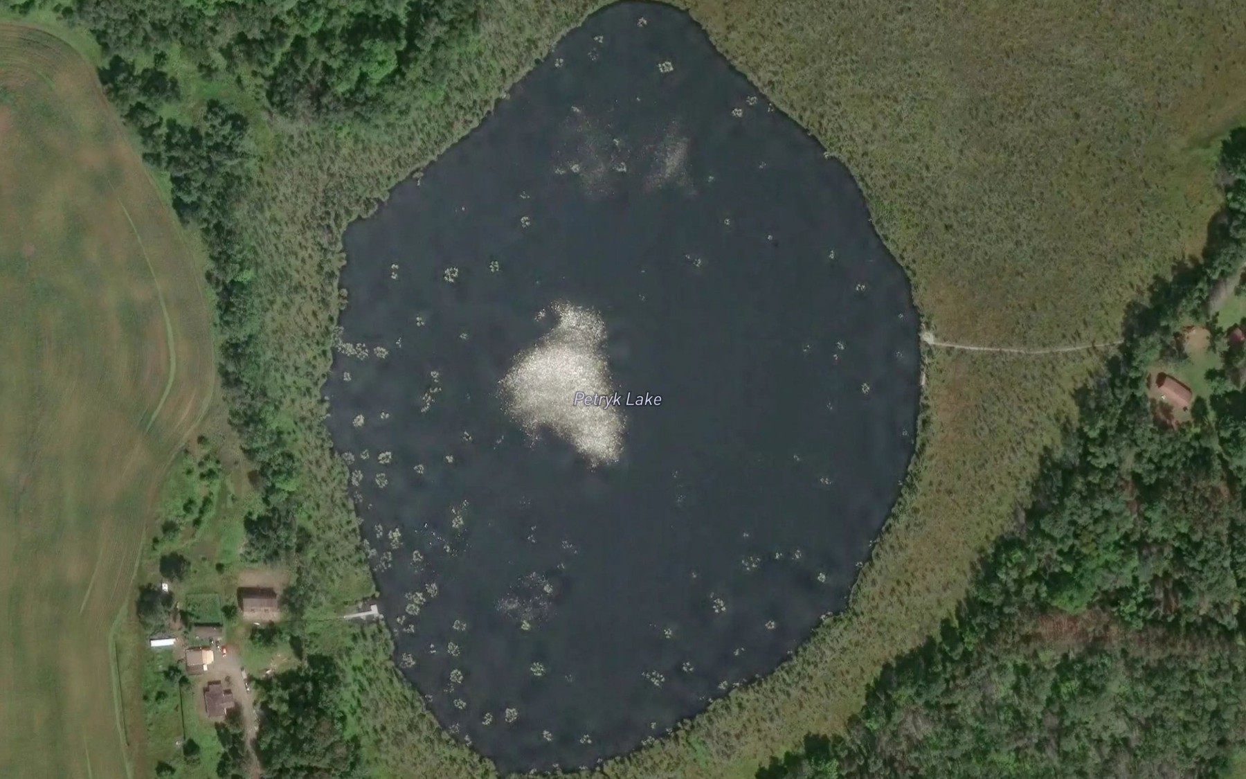 Satellite map of the Petryk Lake