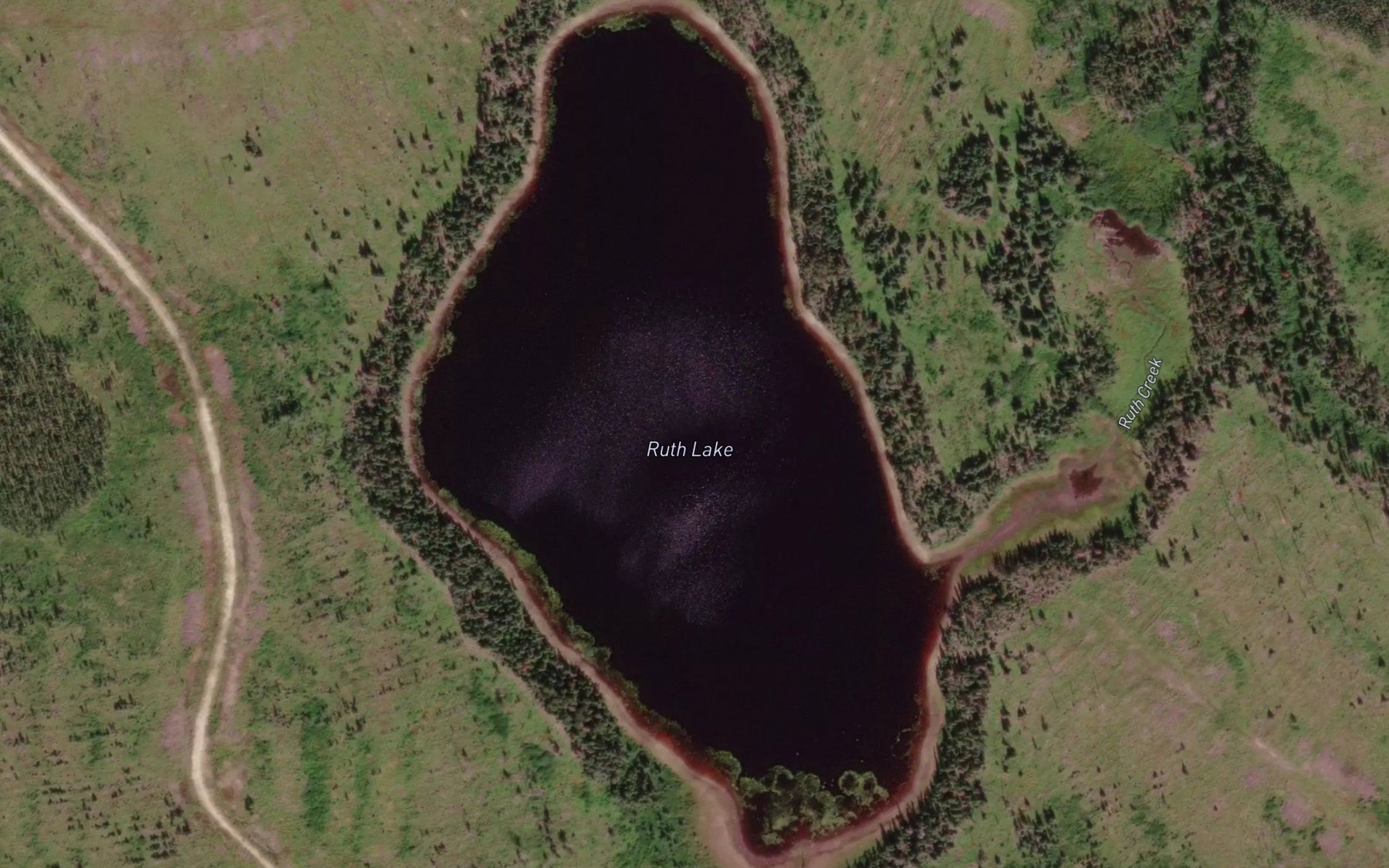 Satellite map of the Ruth Lake