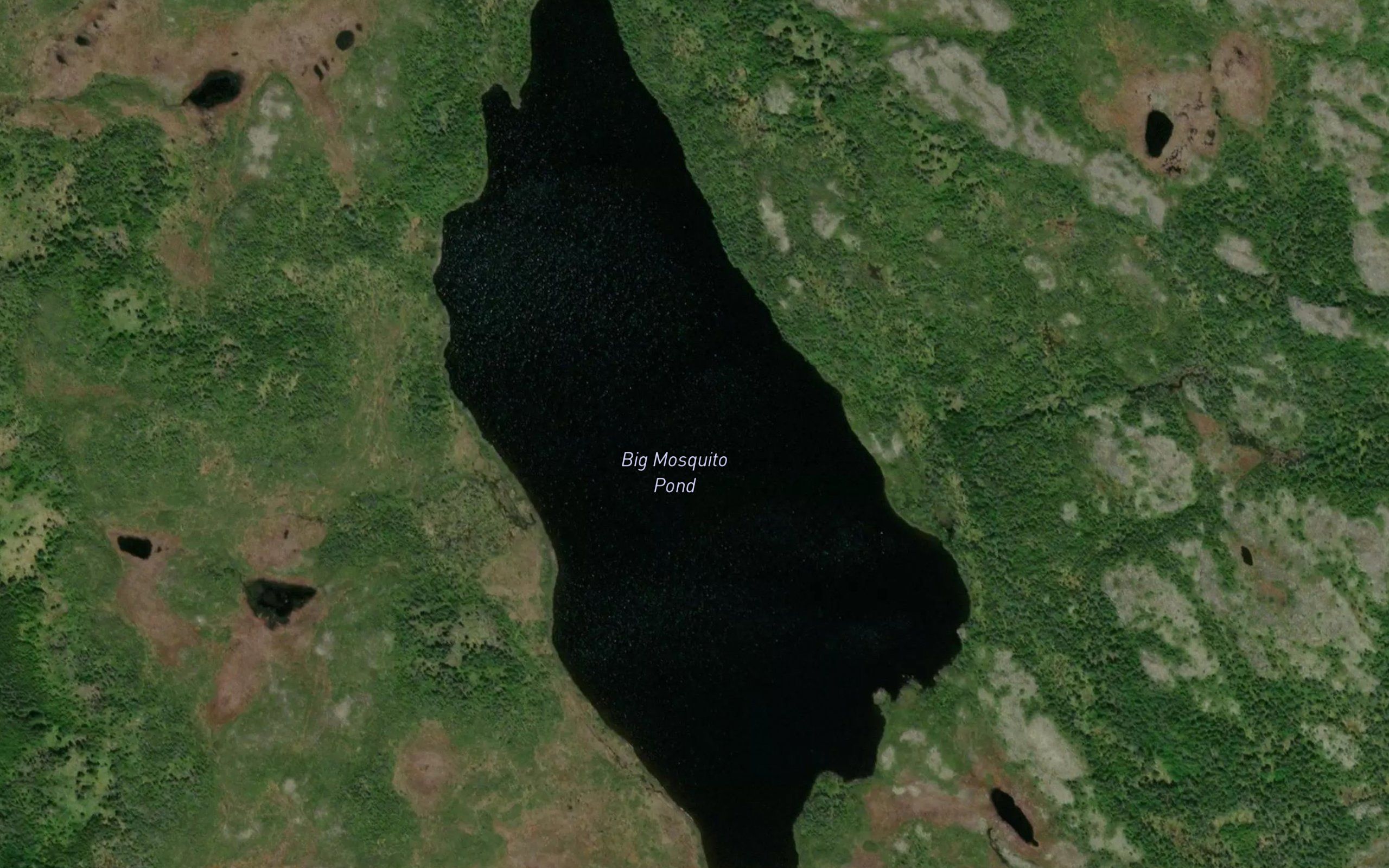 Big Mosquito Pond