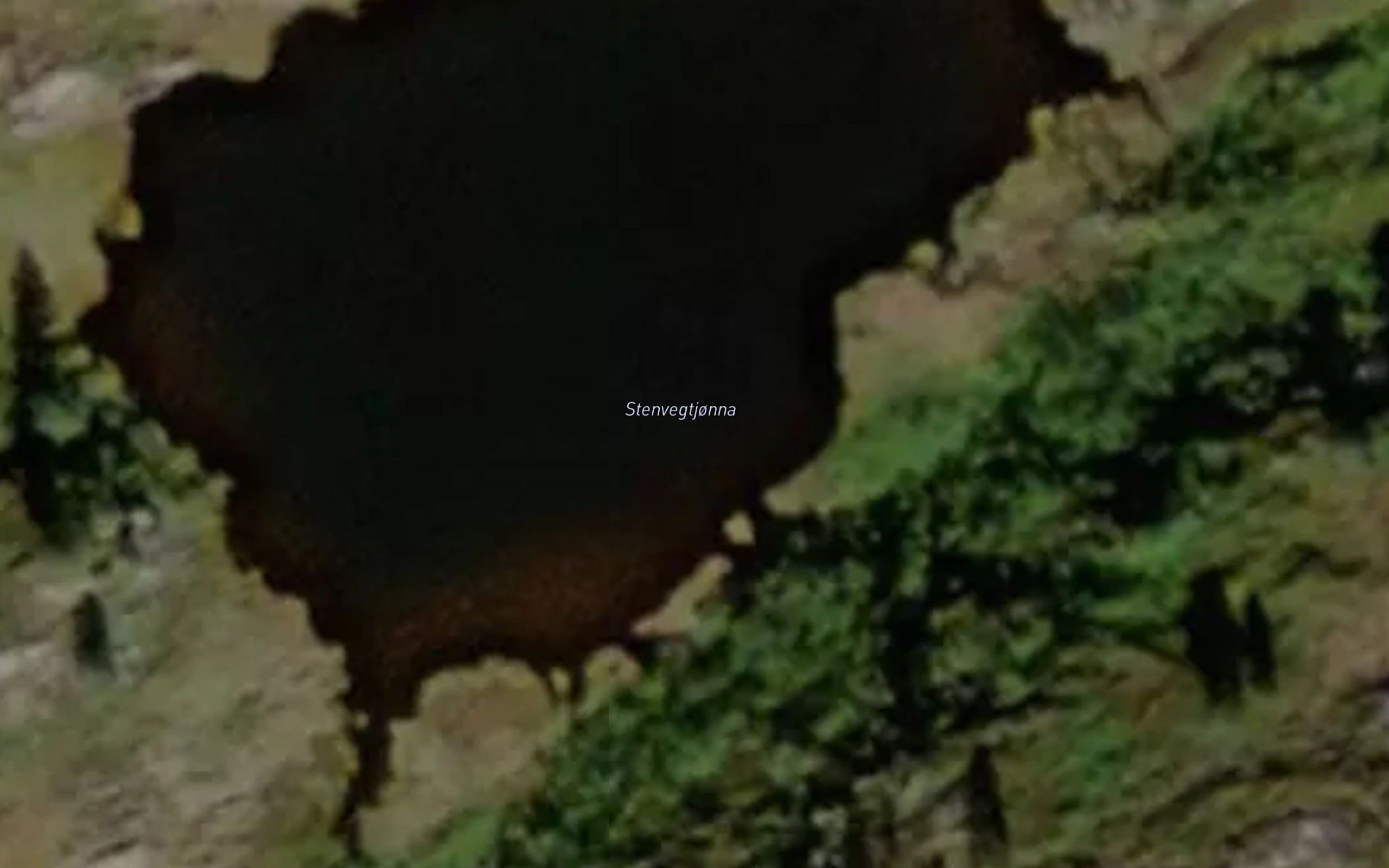Stenvegtjonna