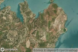 Karincacayiri Pinari