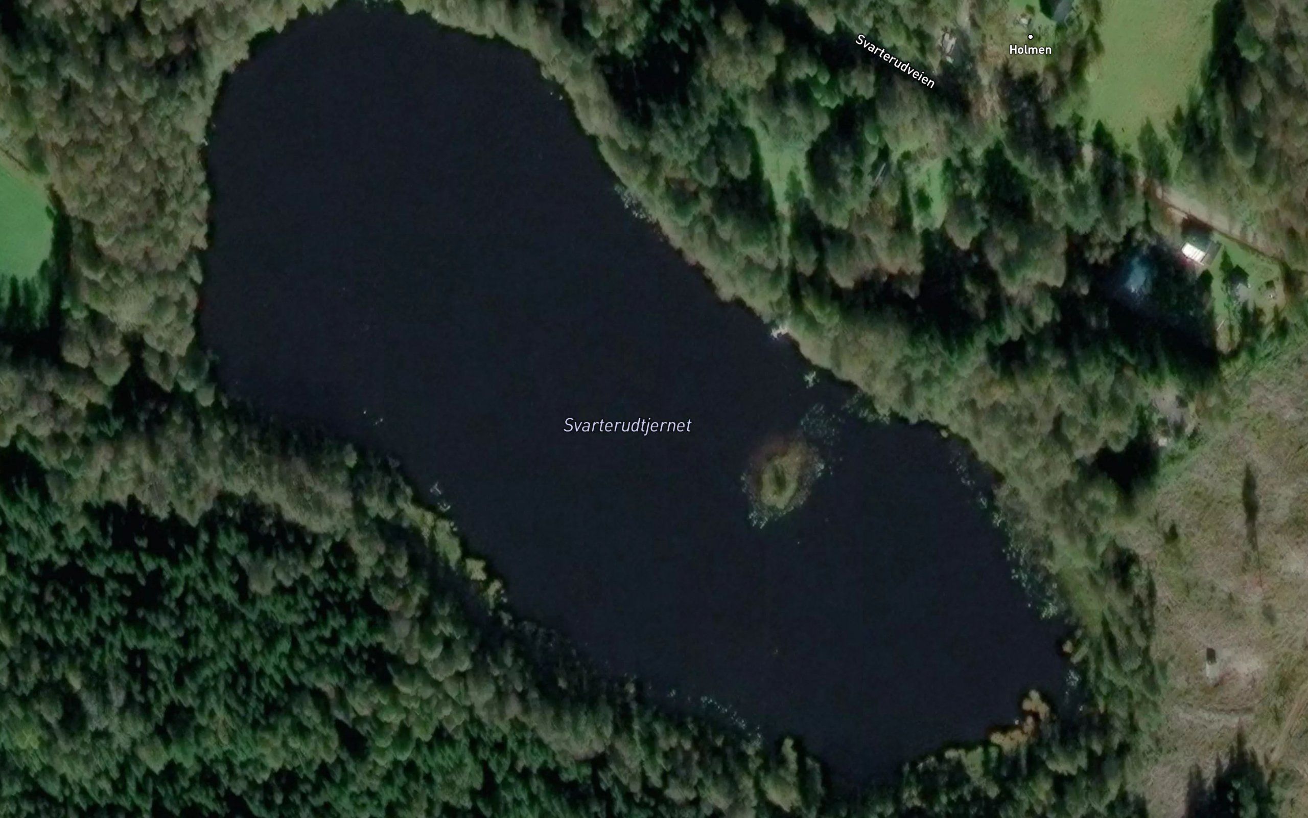 Svarterudtjern