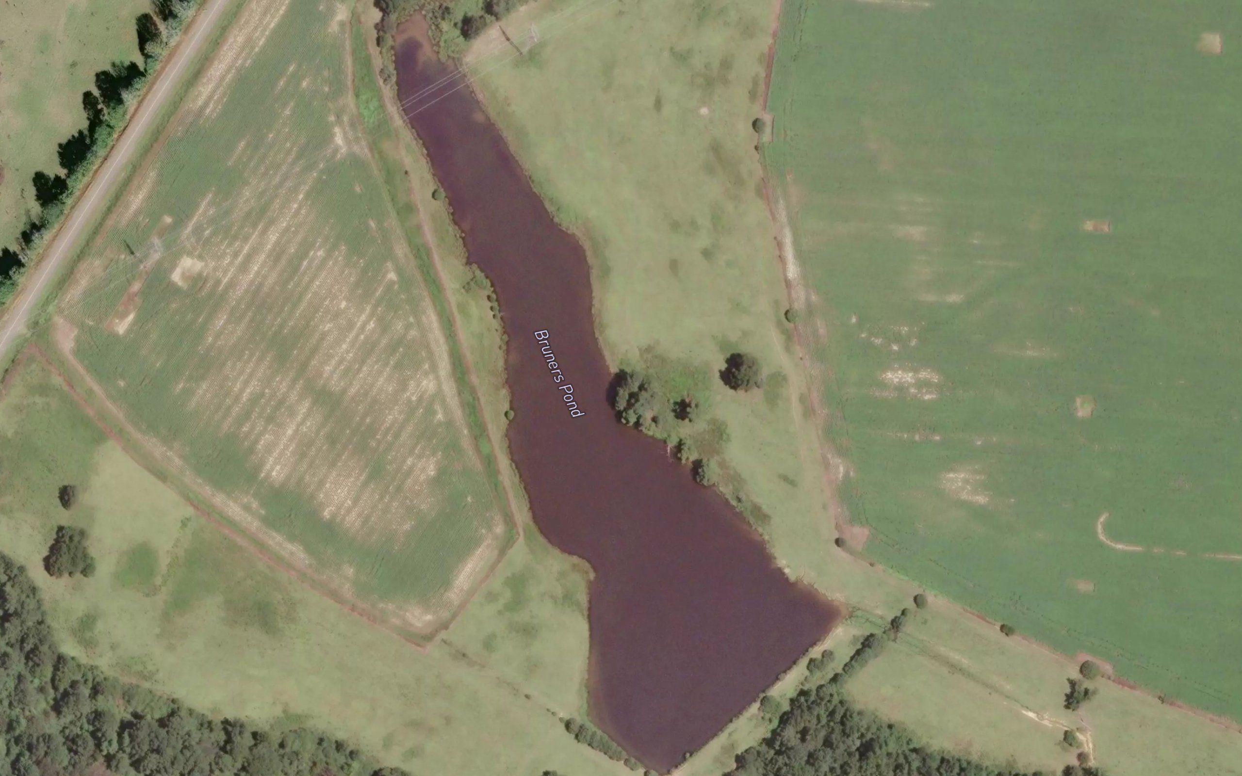 Bruners Pond