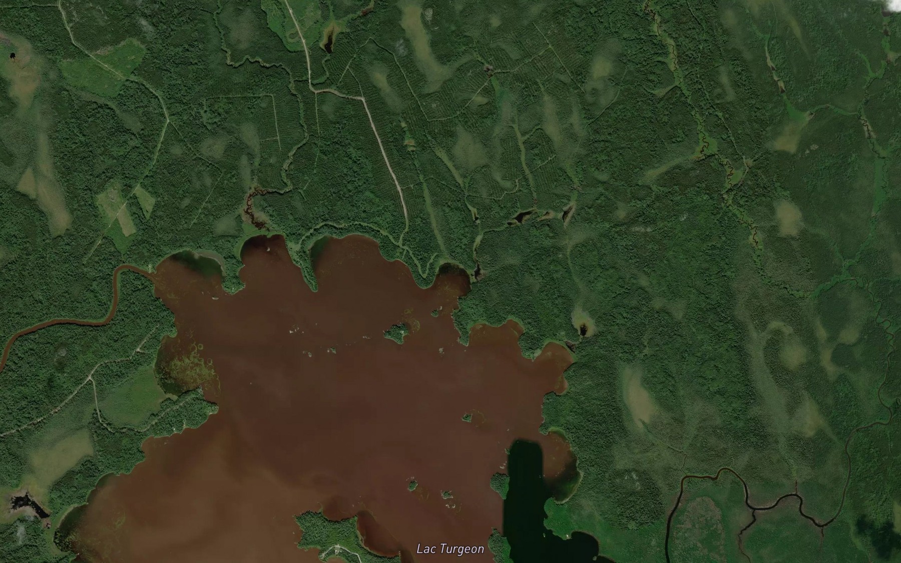 Satellite map of the Baie Kohokoho