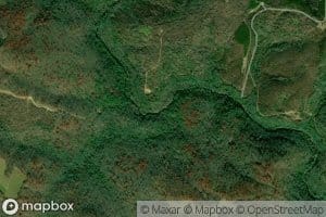 Puckett Branch