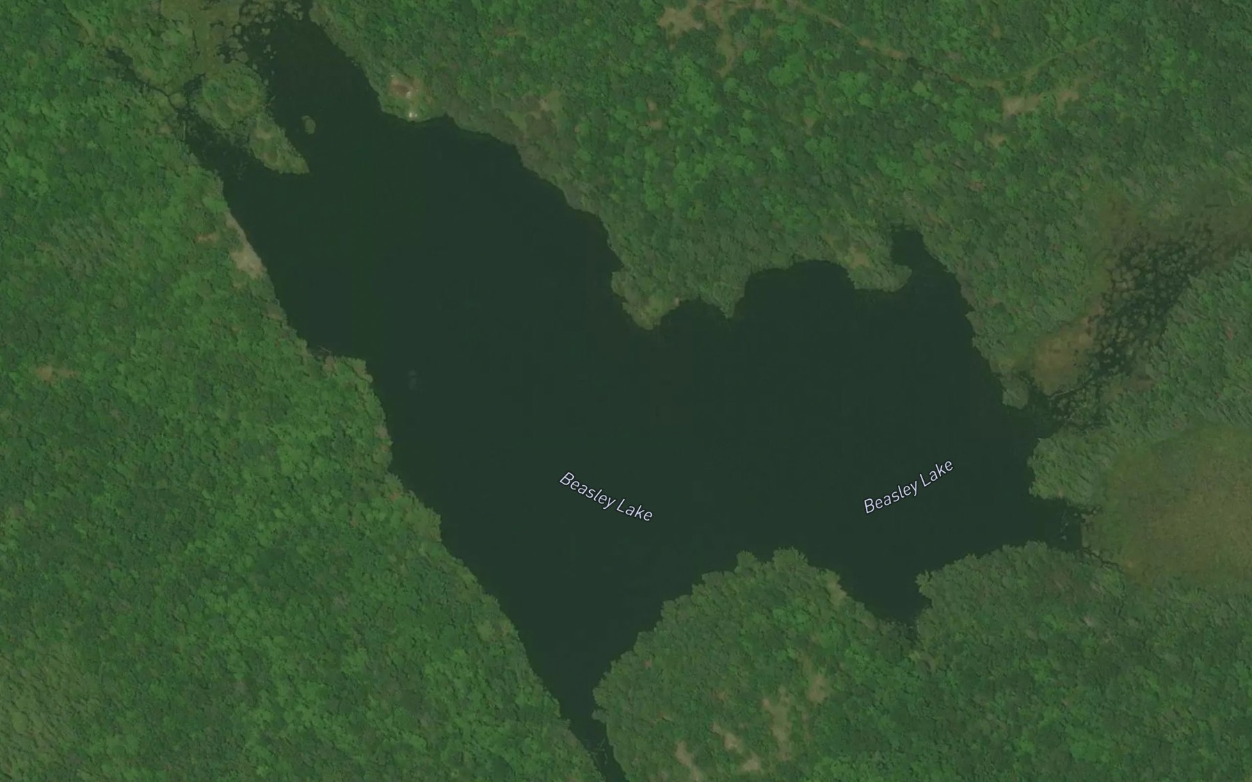 Satellite map of the Beasley Lake