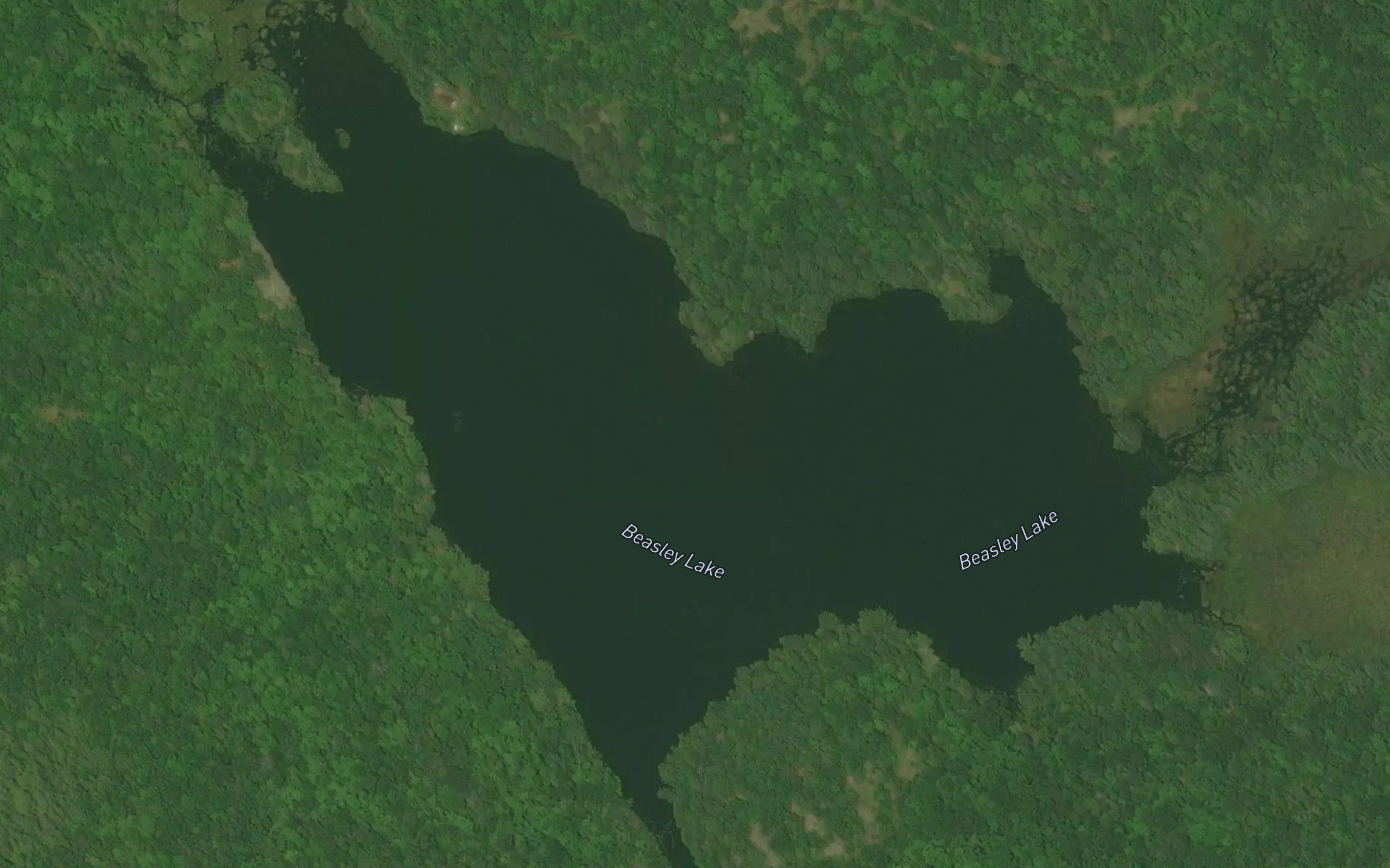Beasley Lake