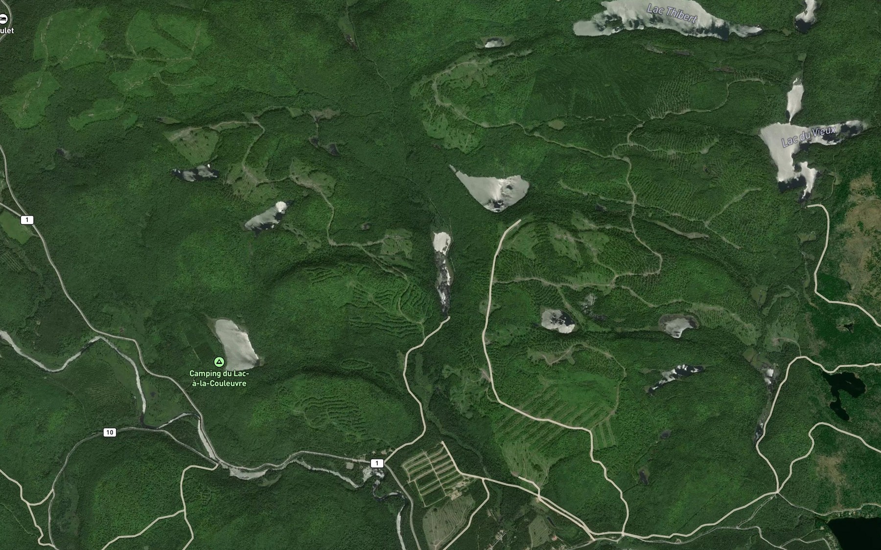 Satellite map of the Lac a la Vase