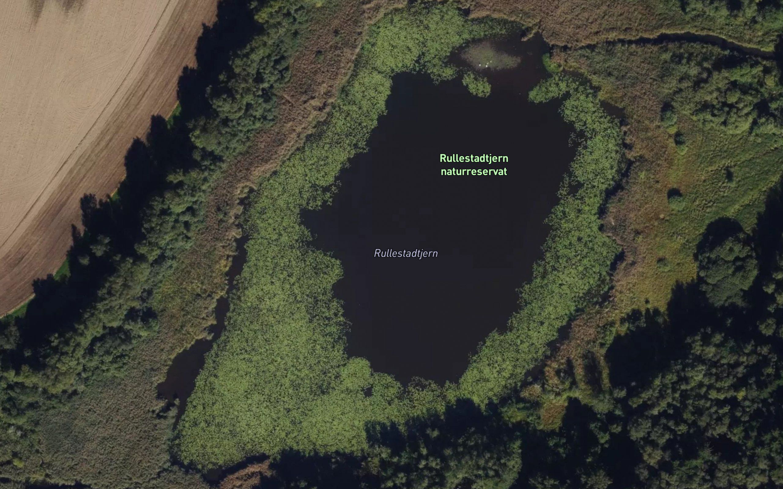 Rullestadtjernet