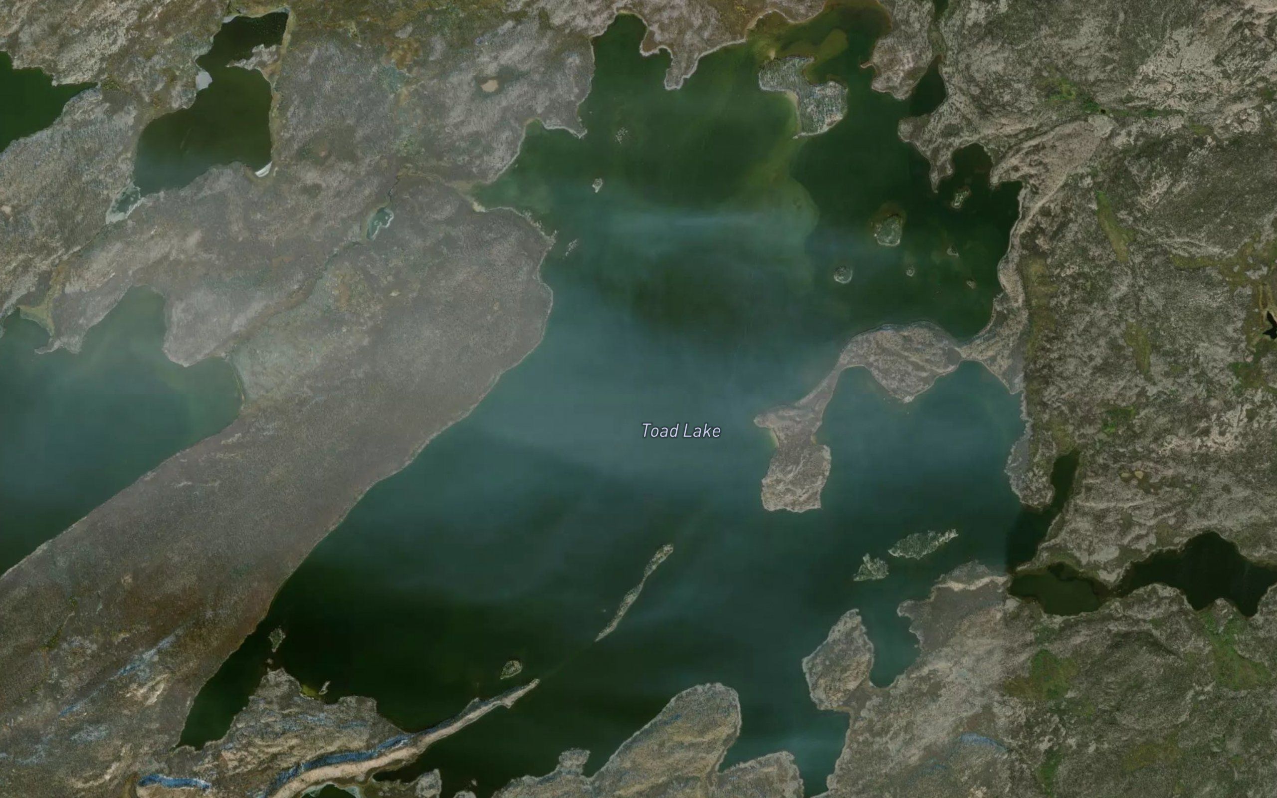 Toad Lake