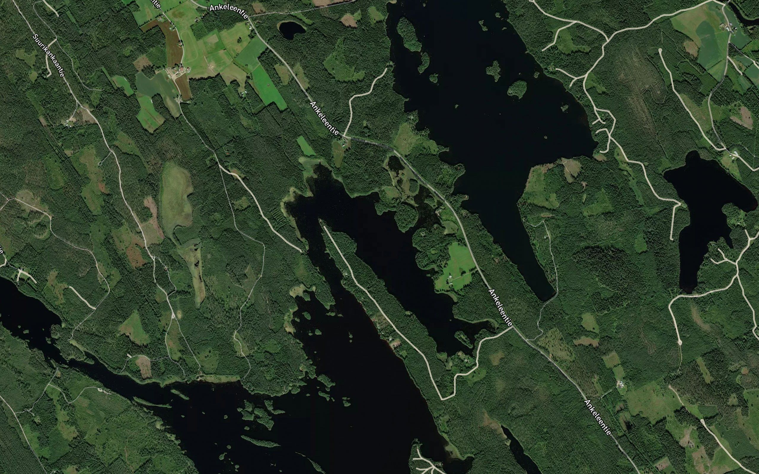 Neitosalmi