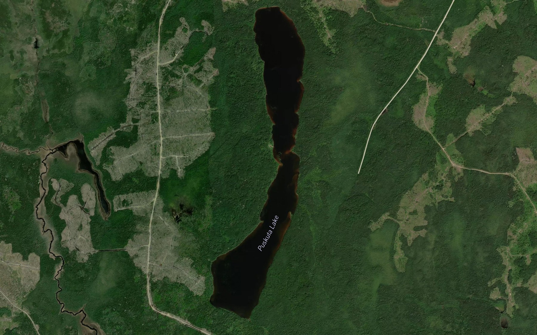 Satellite map of the Puskuta Lake